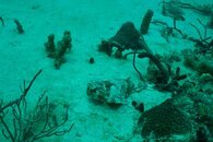 IMG_6286b.jpg