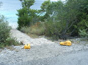S2010282.JPG