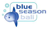 bsb_logo.gif