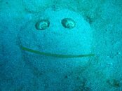n888685191_4425640_5269.jpg