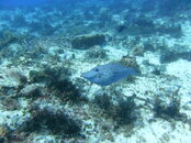 PICT0173.JPG