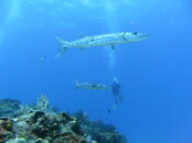 PICT0360.JPG