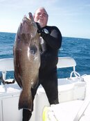 45#Grouper.C.01.19.08.jpg