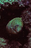 Aruba_0481_edited-3.jpg