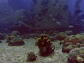 Aruba_0467_edited-1.jpg