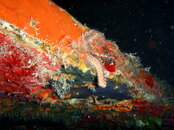 20090408_354_01.jpg