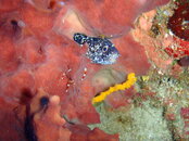 20090409_23_01.jpg