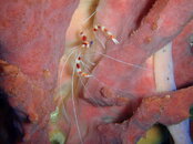 20090409_42_01.jpg