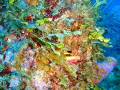 20090409_47_01.jpg