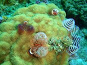 20090409_98_01.jpg