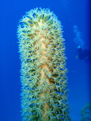 20090409_112_01.jpg