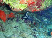 20090409_177_01.jpg