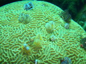 20090405_53.jpg