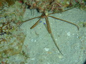20090408_398_01.jpg