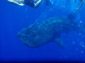 20090405_76.jpg