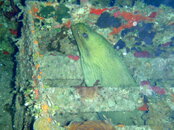 20090408_348_01.jpg