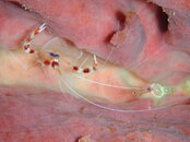 20090409_40_02.jpg