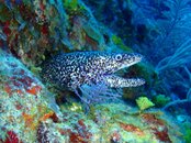 20090409_46_01.jpg