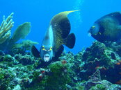 20090409_179_01.jpg