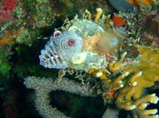 20090407_266.jpg