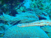 20090406_98.jpg