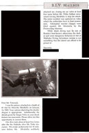 BIVLetter3.jpg