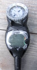 cobra2.JPG