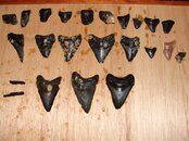 DSC00668 (Small).JPG