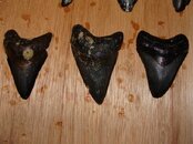 DSC00669 (Small).JPG