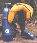 Old Yeller.jpg