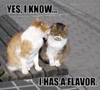 flavor.jpg