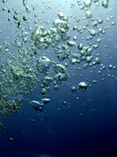 bubbles.jpg