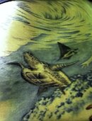 good turtle edited.jpg