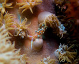 nudi lunch #1.jpg