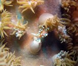 Nudi lunch #2eeemail.jpg
