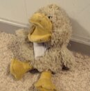 The Duck.jpg