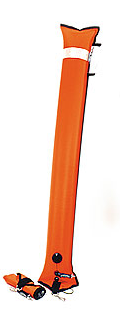 Picture 1.png