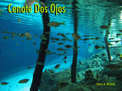 Cenote Dos Ojos sm.jpg