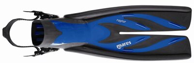 Fin Raptor BL sm.jpg