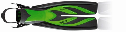 Fin Raptor GR sm.jpg