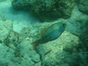 IMG_0254.JPG