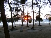 PICT0545.jpg