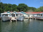 IMG_1233.jpg
