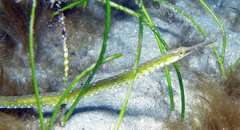 BHB_05 03 09_0617_edited-1.JPG