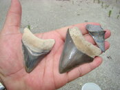DSC02304.JPG
