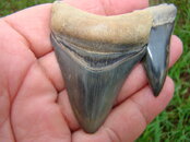 DSC02306.JPG