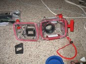 IMG_2279.jpg