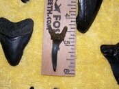 SANY0746.JPG