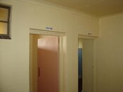 DSC07429 (Large).JPG