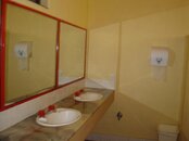 DSC07430 (Large).JPG